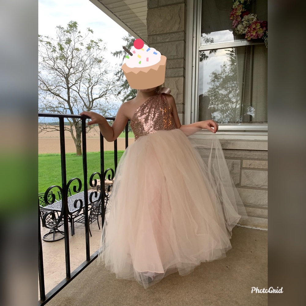 Rose Gold Sequined & White Tulle Dress. NWOT